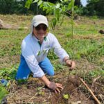 Agroindustria de la Caña de Azúcar ha sembrado 8.8 millones de árboles